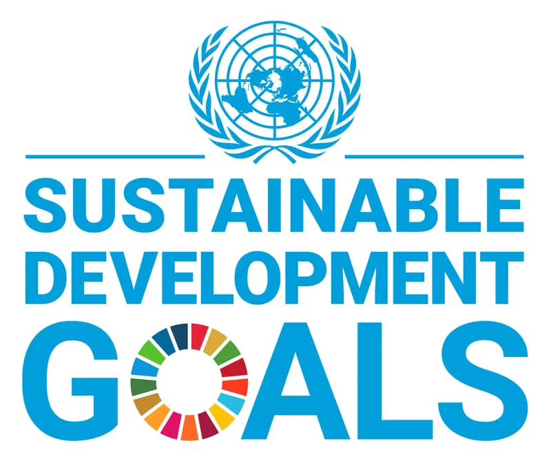 UNSDG title